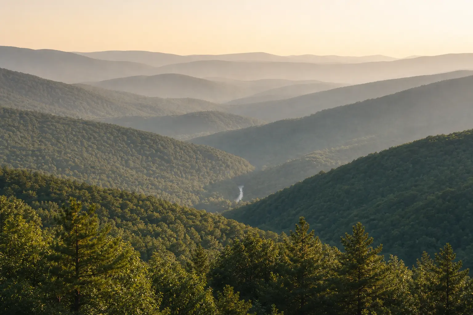 Layered green ridges in the Catskills